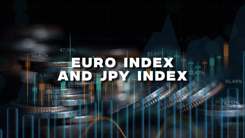 Euro Index and Yen: The Yen stopped its bullish run