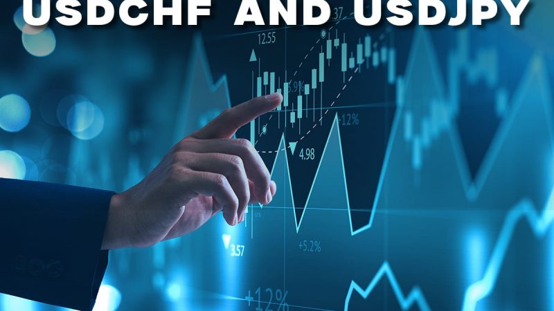 USDCHF and USDJPY: USDJPY found support at 151.93
